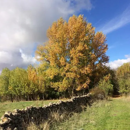 Casas De La Fuente *