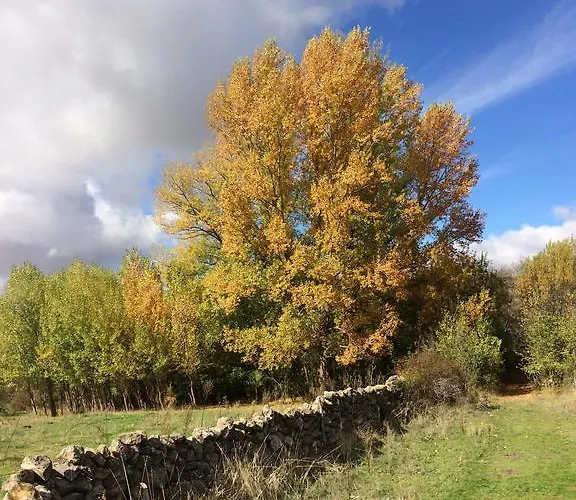 Casas De La Fuente *